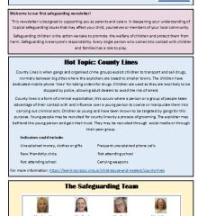 safeguarding newsletter aut 2 24